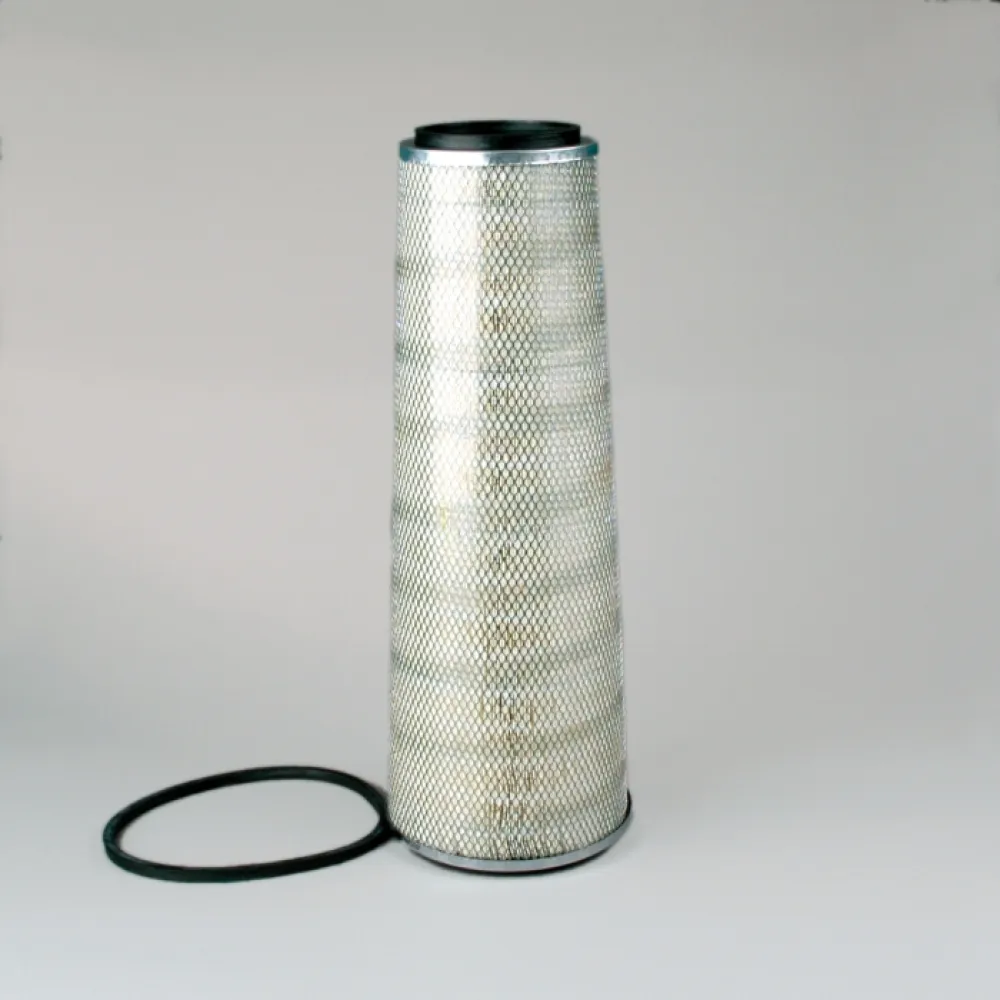 P129396 Donaldson lọc gió thô động cơ
